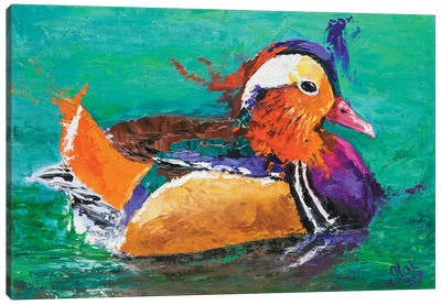 Mandarin Duck II Canvas Art Print - Duck Art