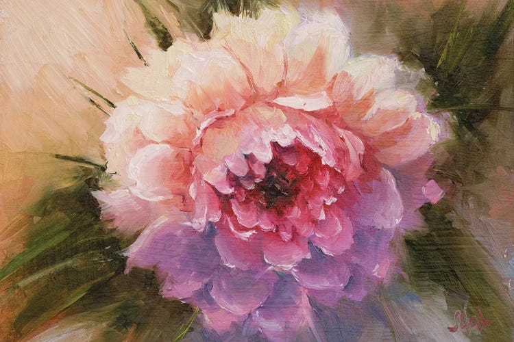 Peony Oil Painting