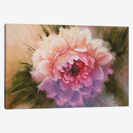 Peony Oil Painting Canvas Print #NTM480} by Nataly Mak Canvas Wall Art