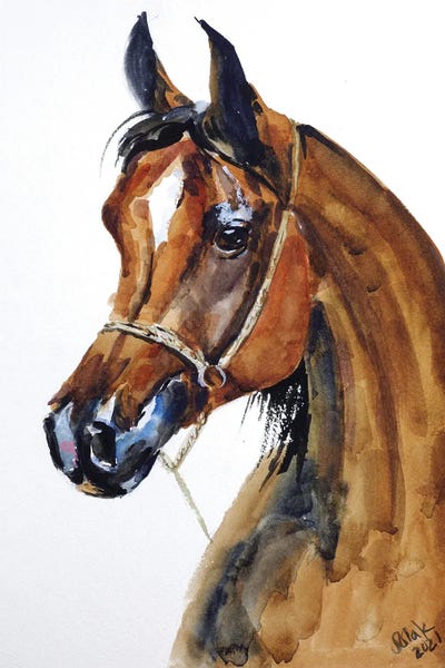 Arabian Horse by Nataly Mak art print
