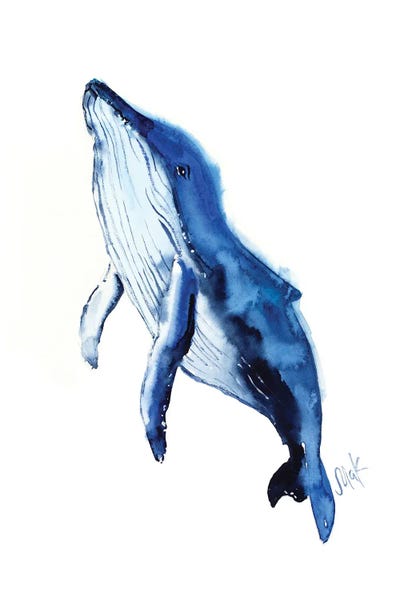 Humpback Whales: Whale by Nataly Mak