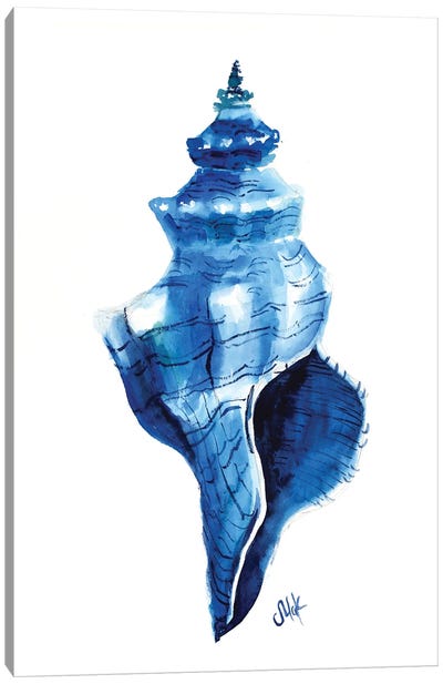 Shell Canvas Art Print - Nataly Mak