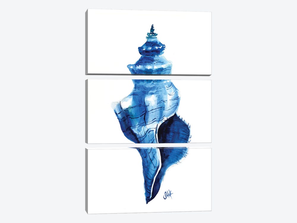 Shell by Nataly Mak 3-piece Canvas Art
