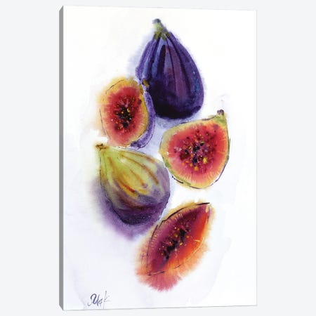 Figs Fruit Canvas Print #NTM542} by Nataly Mak Canvas Print
