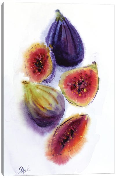 Figs Fruit Canvas Art Print - Nataly Mak