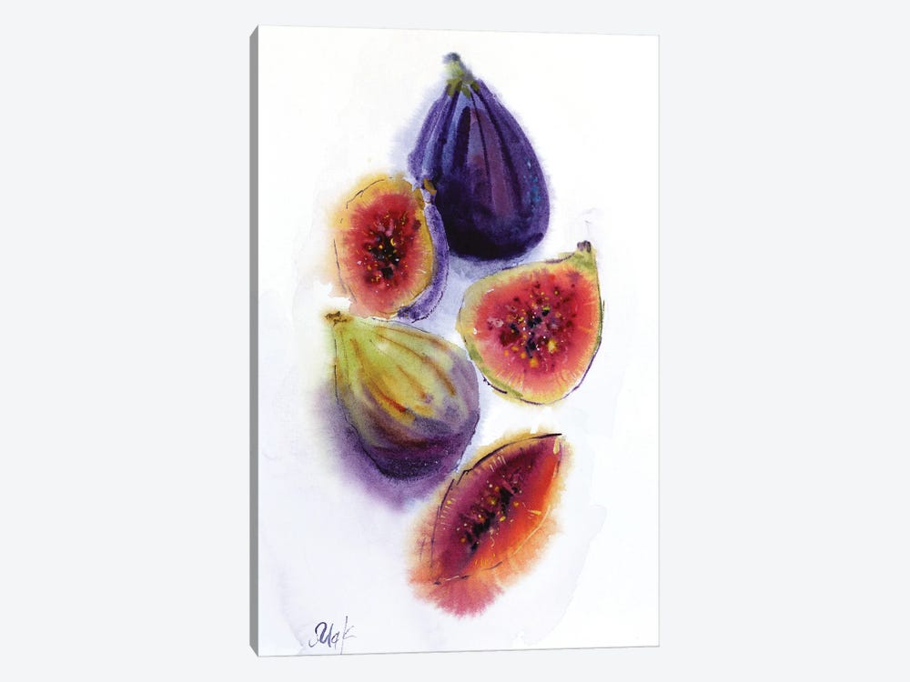 Figs Fruit by Nataly Mak 1-piece Canvas Artwork