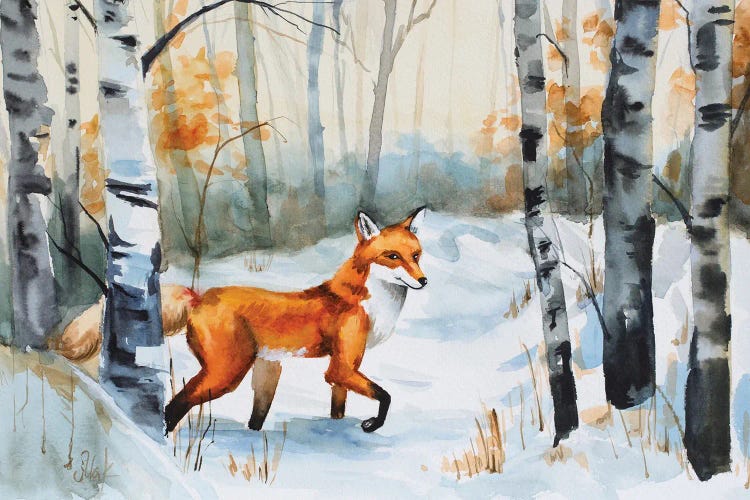 Fox In Winter Forest