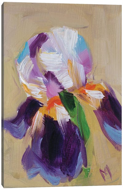 Iris Canvas Art Print - Brown Art