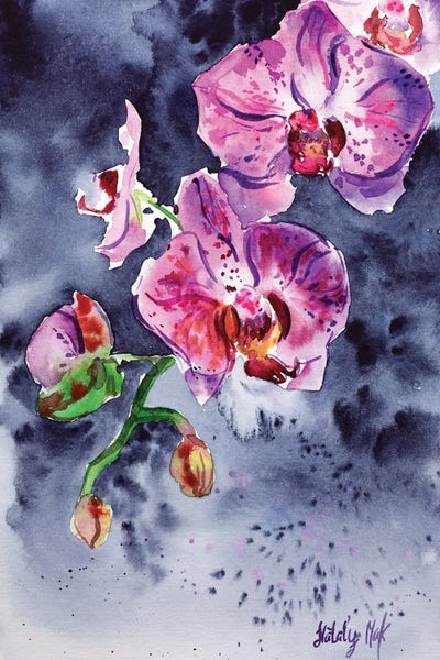 Orchid Flower by Nataly Mak art print