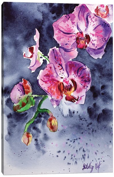 Orchid Flower Canvas Art Print - Nataly Mak