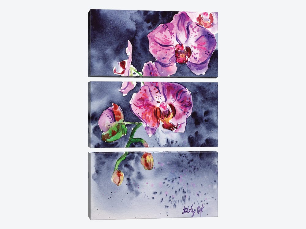 Orchid Flower by Nataly Mak 3-piece Canvas Artwork