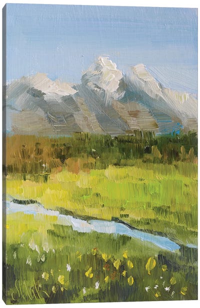 Grand Teton Spring Canvas Art Print - Nataly Mak