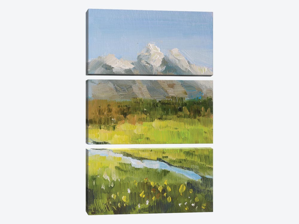 Grand Teton Spring by Nataly Mak 3-piece Canvas Art