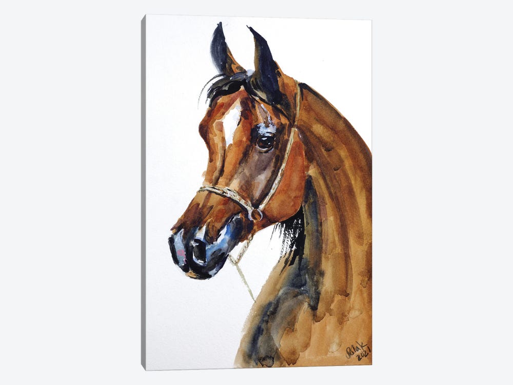 Arabian Horse by Nataly Mak 1-piece Canvas Art