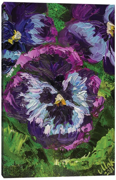 Pansy Flower Canvas Art Print - Nataly Mak