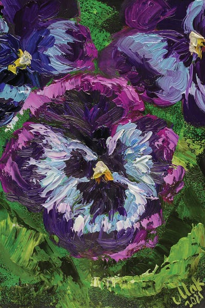Pansies: Pansy Flower by Nataly Mak