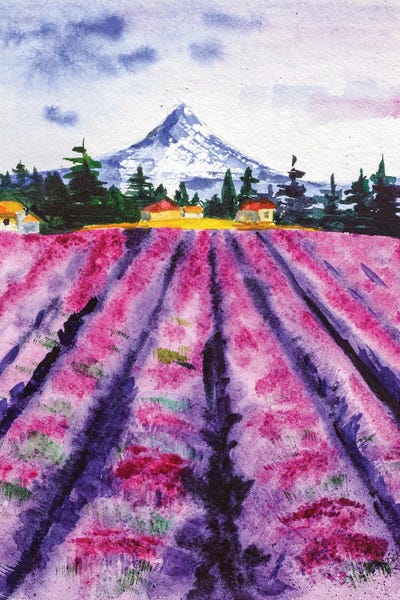 Provence-Alpes-Côte d'Azur: Provence by Nataly Mak