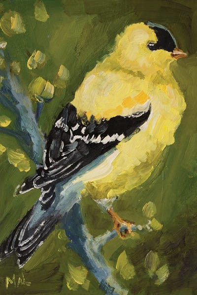 American Goldfinch II by Nataly Mak canvas print