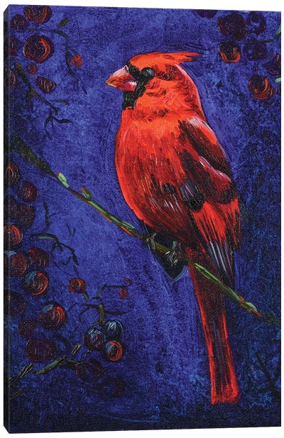 Red Cardinal Canvas Art Print - Nataly Mak