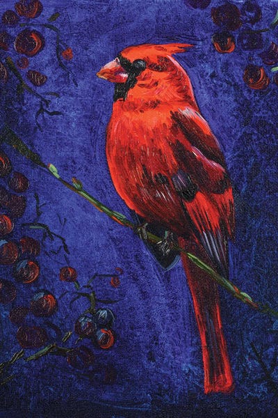Nataly Mak: Red Cardinal by Nataly Mak