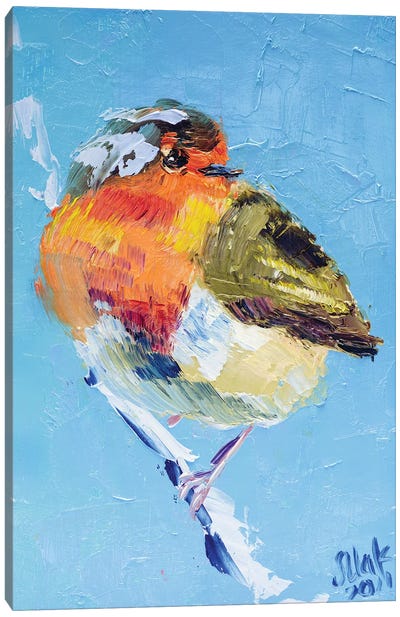 Robin Bird Canvas Art Print - Robin Art