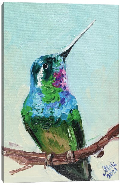 Hummingbird Canvas Art Print - Nataly Mak