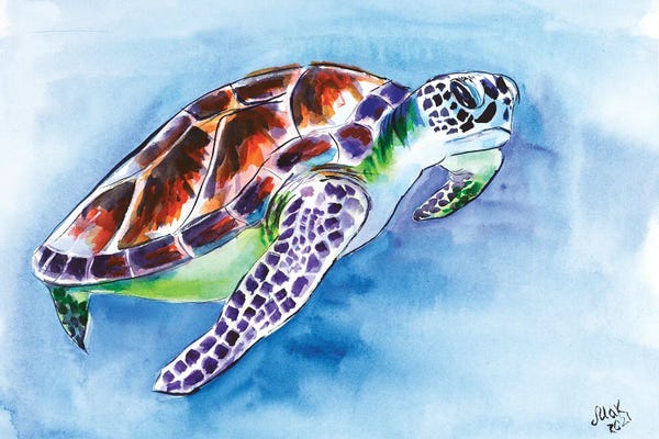 Turtles: Sea Turtle by Nataly Mak
