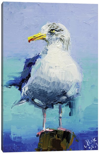 Seagull Canvas Art Print - Nataly Mak