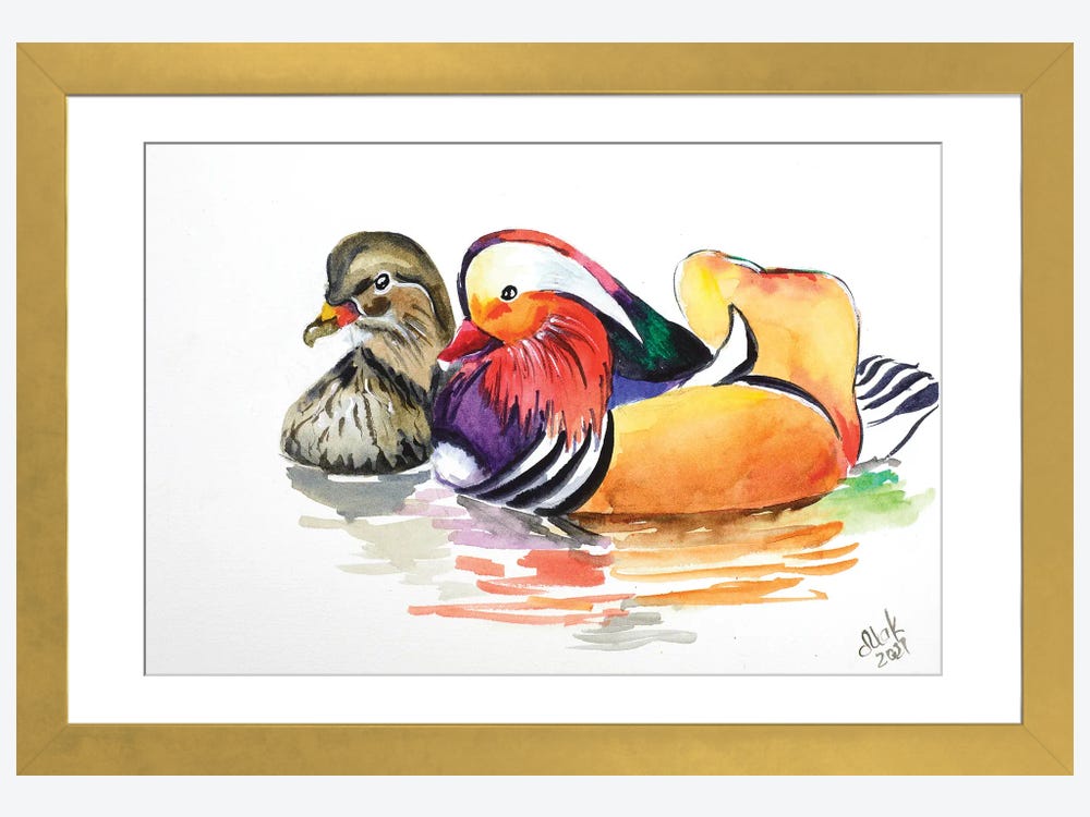 duck paintings