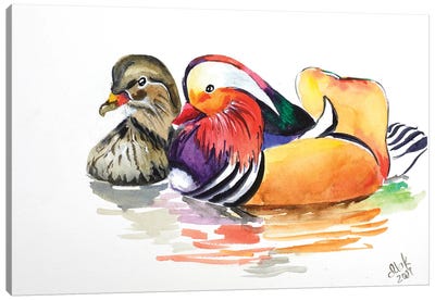 Two Mandarin Duck Canvas Art Print - Duck Art