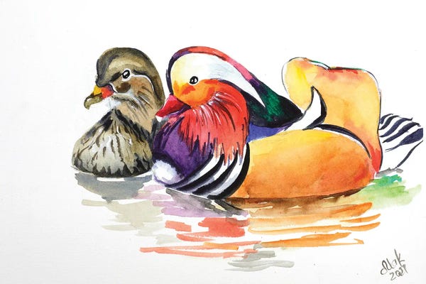Nataly Mak: Two Mandarin Duck by Nataly Mak