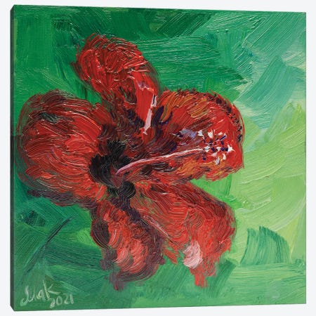 Red Hibiscus Canvas Print #NTM80} by Nataly Mak Canvas Print