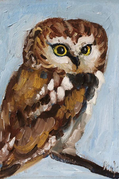 Lakehouse Décor: Owl 555 by Nataly Mak