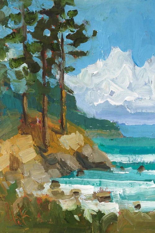 Lake Tahoe Seascape by Nataly Mak wall art