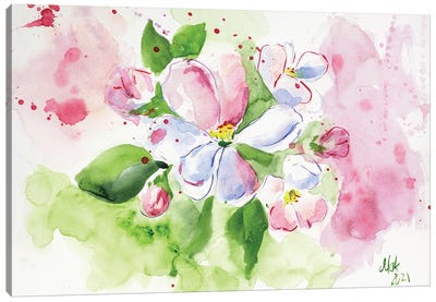 Apple Blossom Canvas Art Print