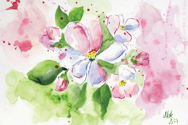 Apple Blossoms: Apple Blossom by Nataly Mak
