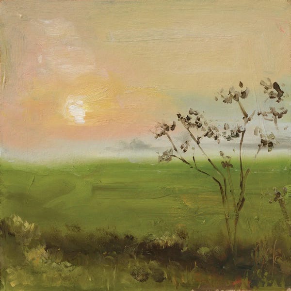 Field Landscape