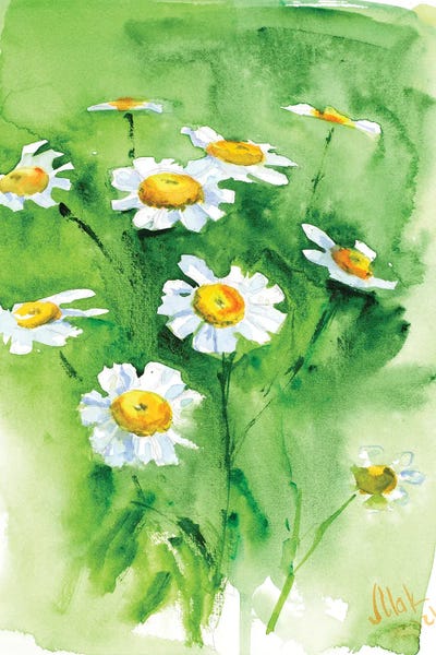 Nataly Mak: Chamomile by Nataly Mak