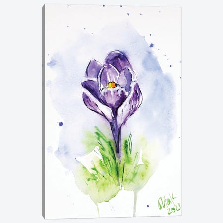 Purple Crocus Canvas Print #NTM96} by Nataly Mak Canvas Print