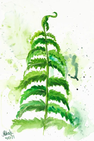 Fern by Nataly Mak framed wall art