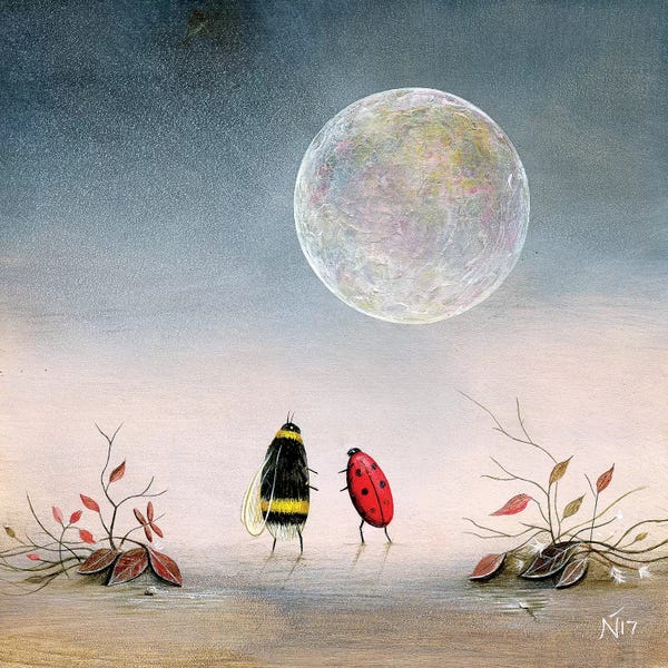 Ladybugs: Follow The Moon by Neil Thompson