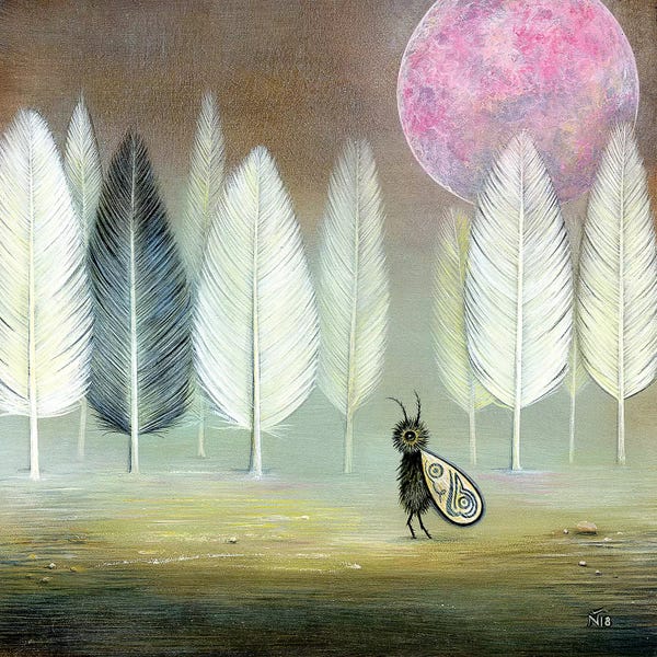 Feathers: Fuzzy by Neil Thompson