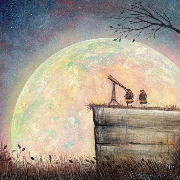 Exploration: Searching For A New Star by Neil Thompson