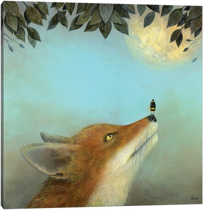 Touching The Moon Canvas Art Print - Fox Art