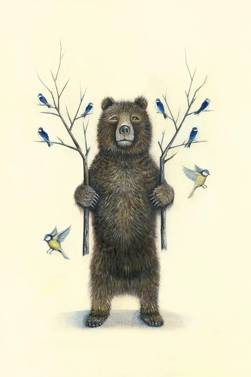 Bear With Birds