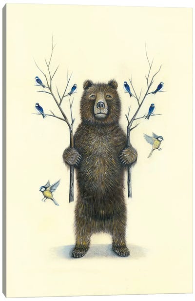 Bear With Birds Canvas Art Print - Neil Thompson