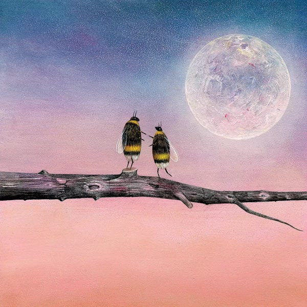 Bees: Another World With You by Neil Thompson