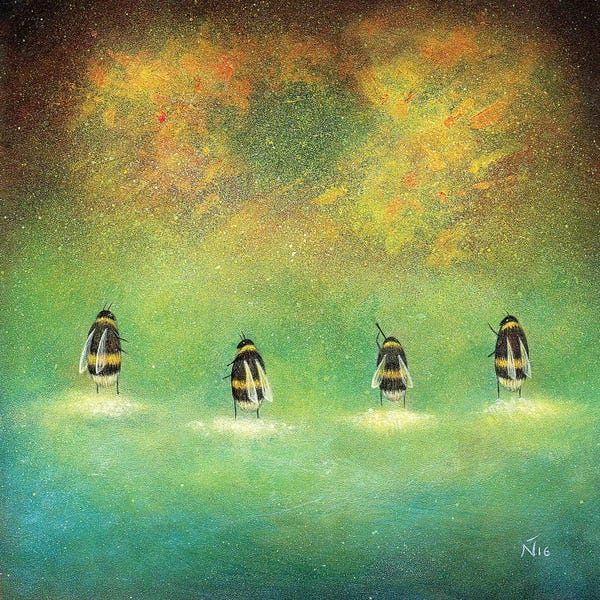 Exploration: Beneath The Stars by Neil Thompson