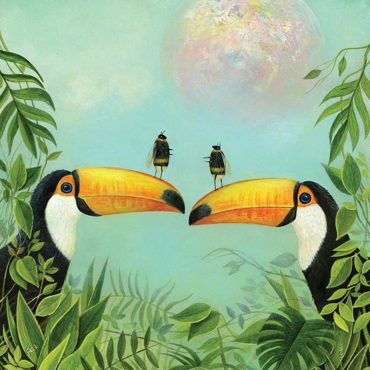 Toucans