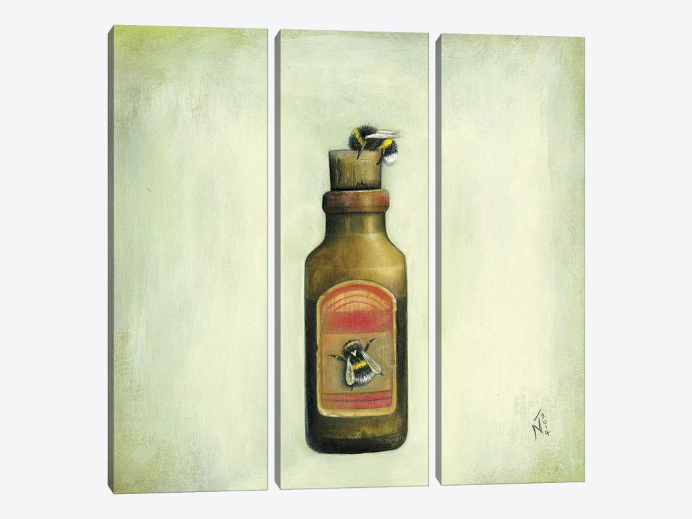 Bottle And Bees by Neil Thompson 3-piece Canvas Artwork